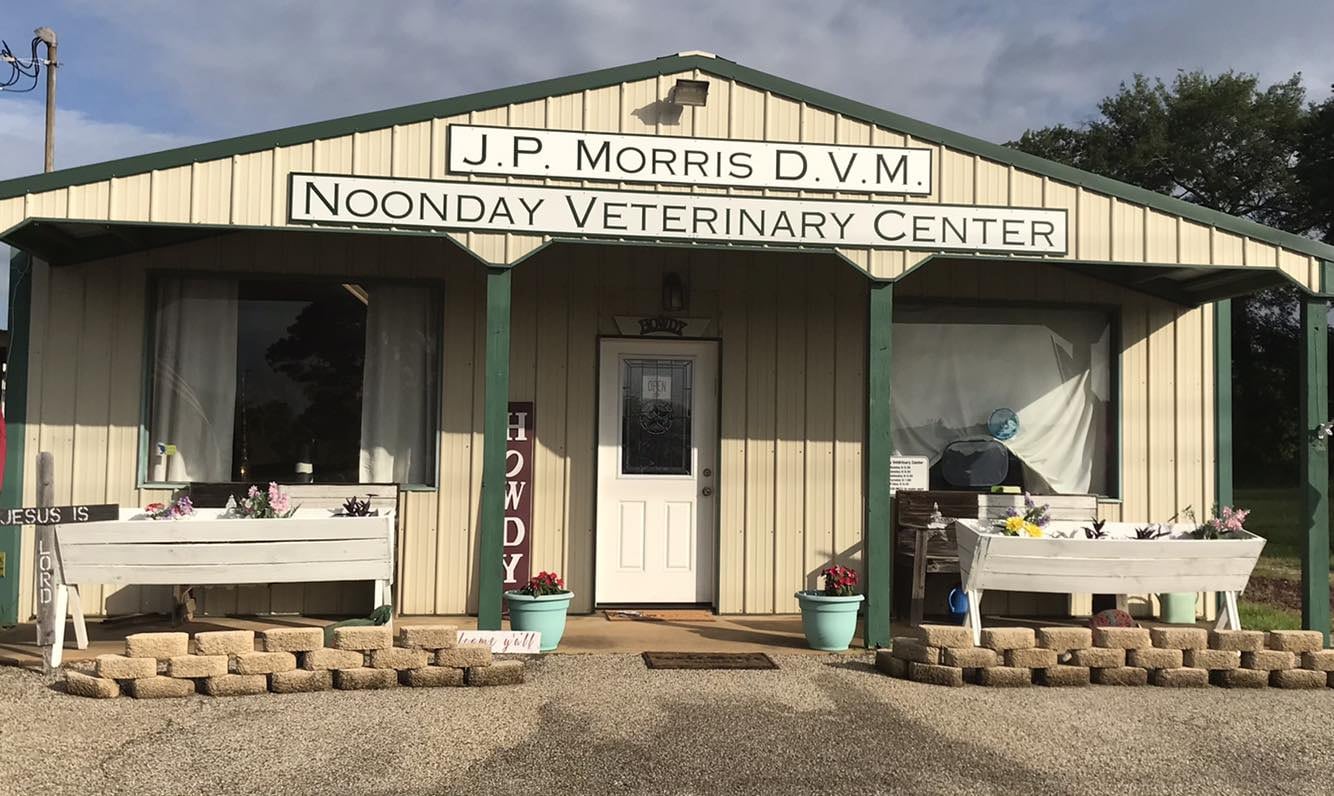 Front view of a beige building labeled "J.P. Morris D.V.M. Noonday Veterinary Center" with two benches, potted plants, and a "Howdy" sign at the entrance.